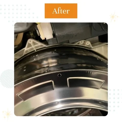 Disassembly cleaning of a washing machine's internal components